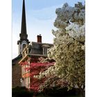 The House with the Dogwood Trees ll