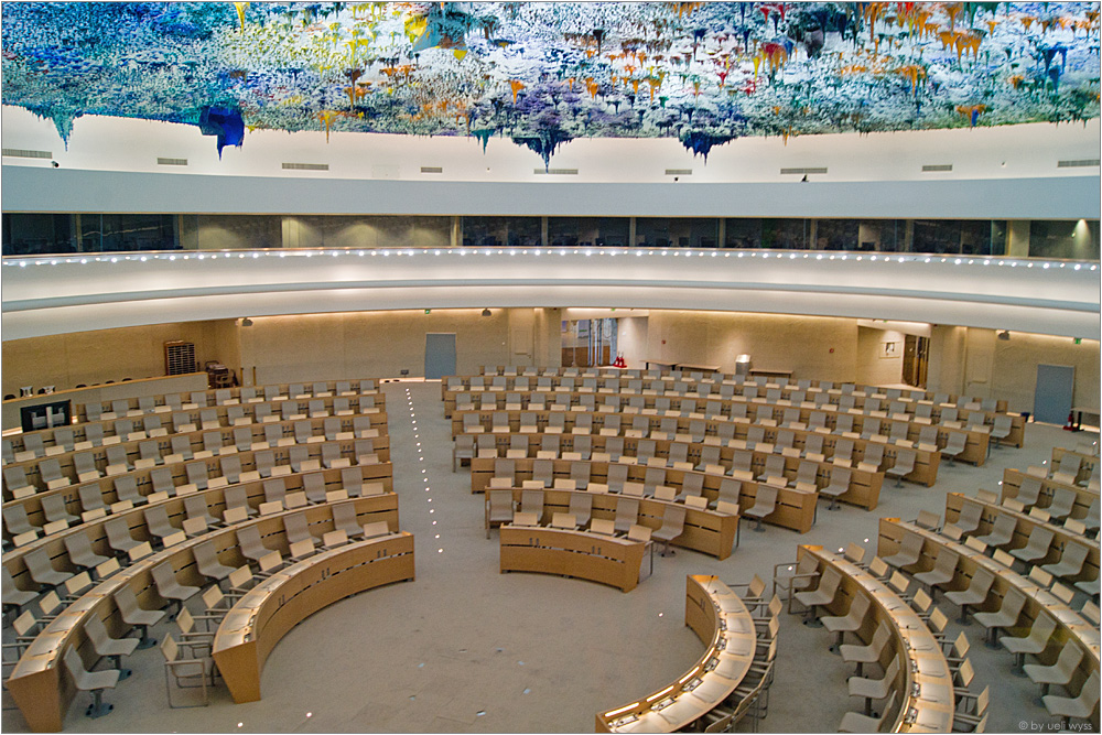 The Human Rights Council