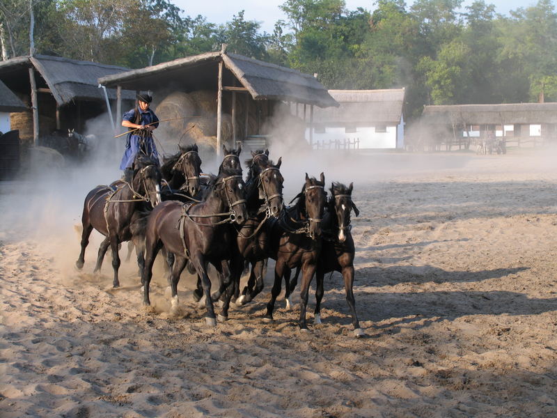 The Hungarian Puszta