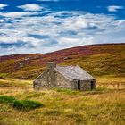 ... the hut in the middle of nowhere ...