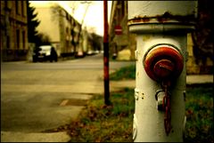 the hydrant