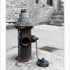 the hydrant