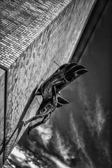 The Icarus learns to fly... 