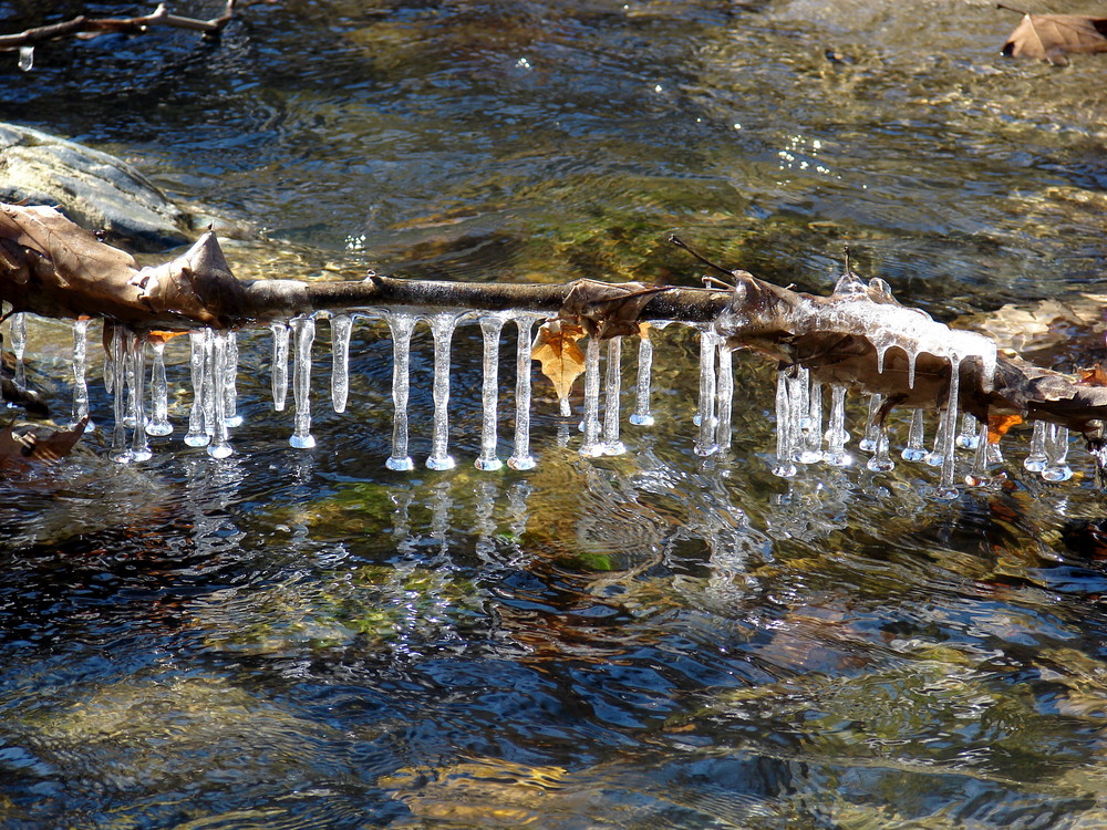 The Ice Bridge