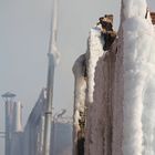 The Ice Castle from Chicago (8)