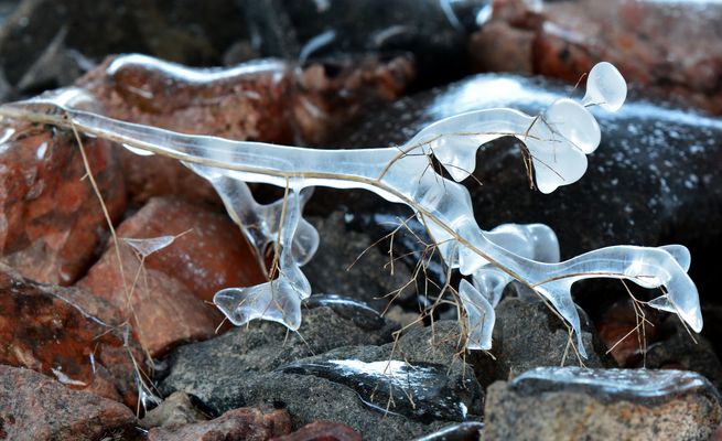 The ice figure 2
