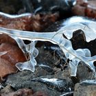 The ice figure 2