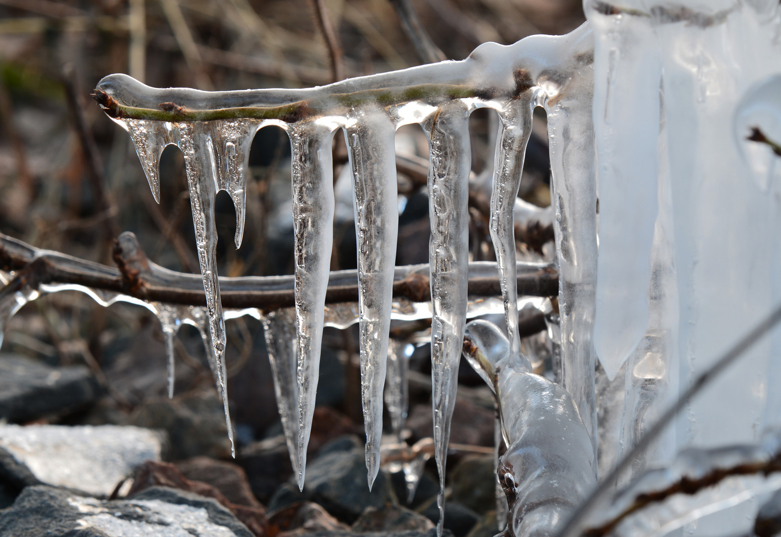 The ice figure