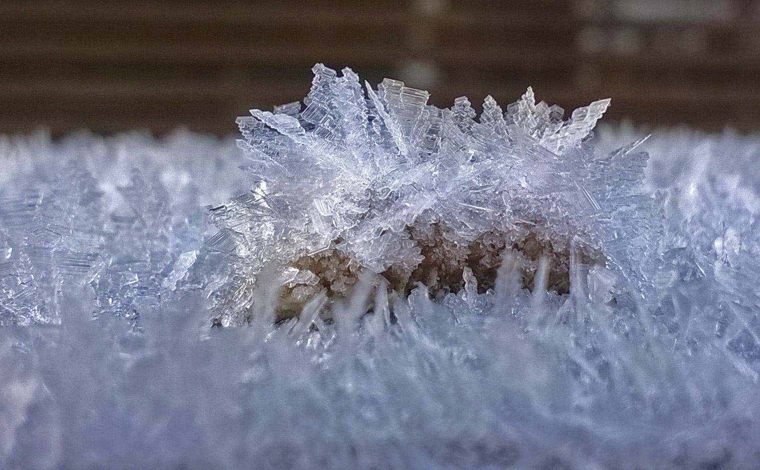 The ice on fence