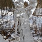 The ice statue