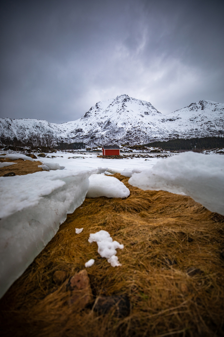 - the ice, the little red rorbu and the mountains - 