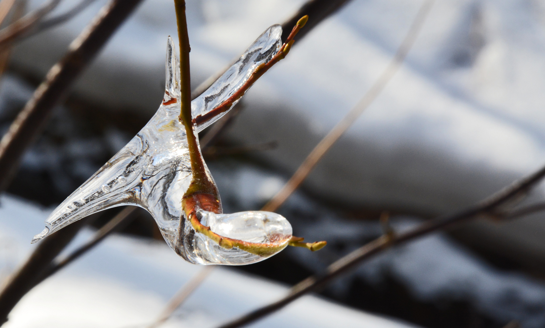 The ice under the bridge