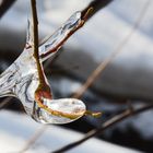 The ice under the bridge