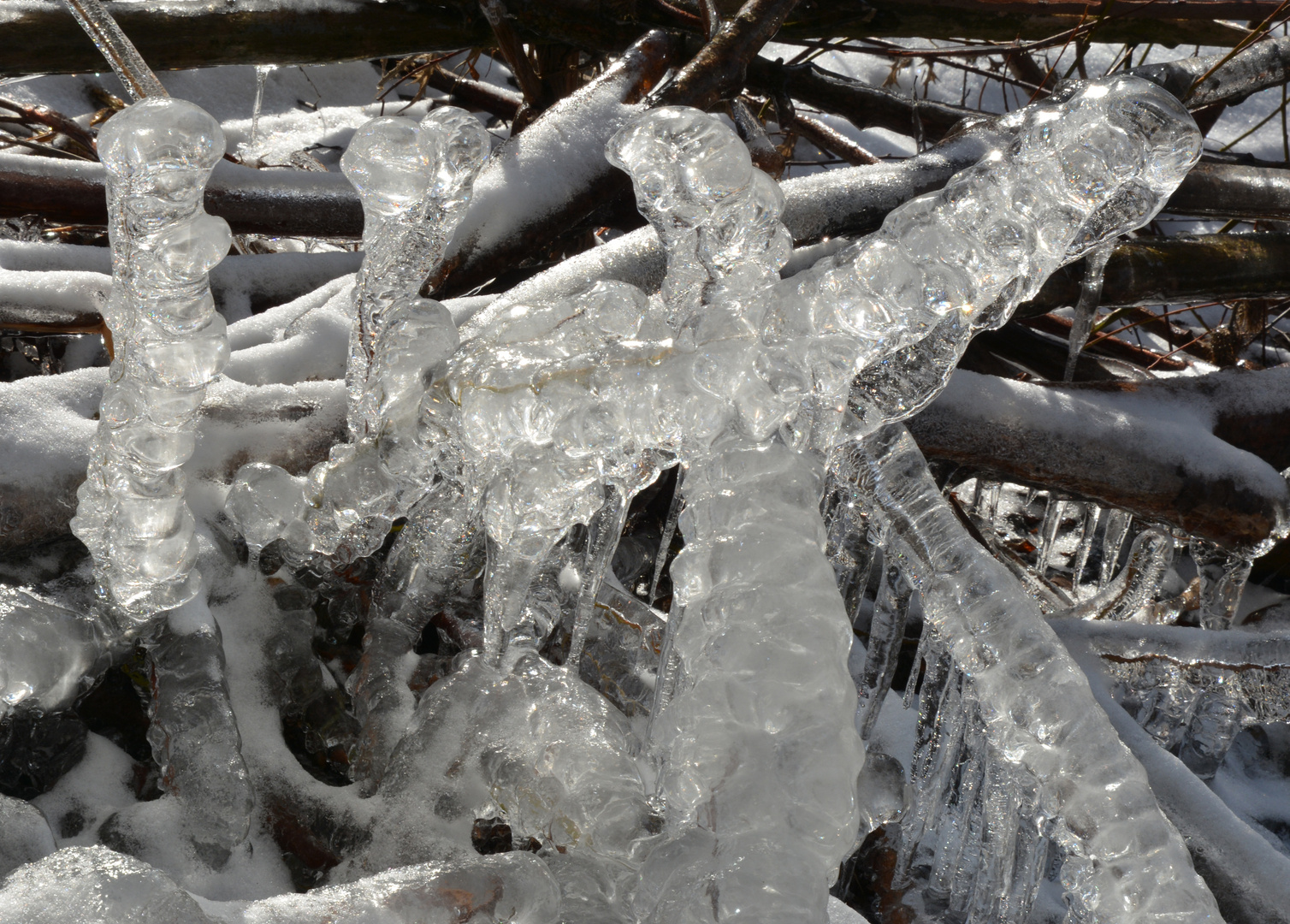 The iced branches