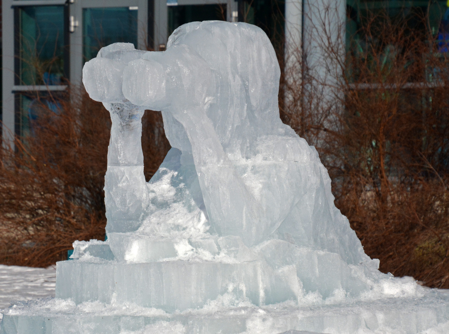 The Icestatue, The look-out