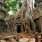 The incredible Angkor Wat