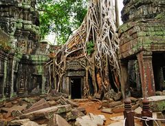 The incredible Angkor Wat