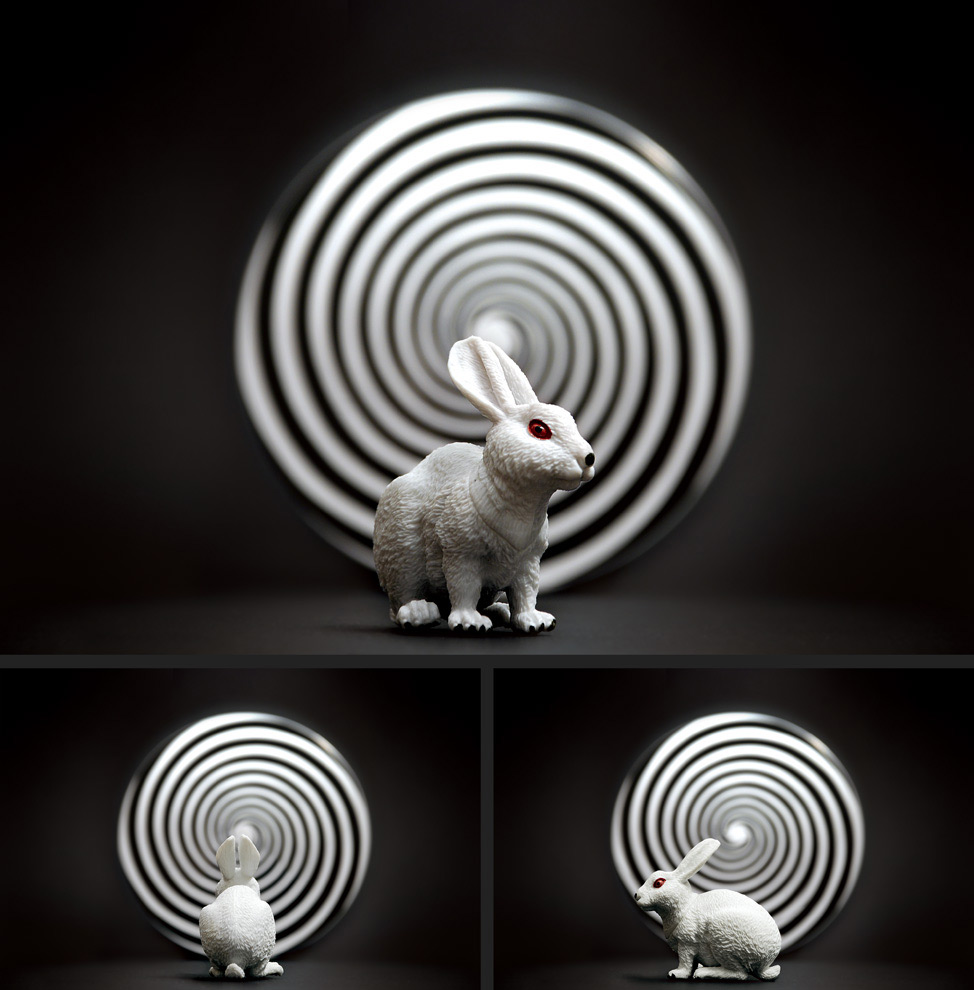 The Incredible Expanding Bunny