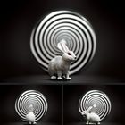 The Incredible Expanding Bunny