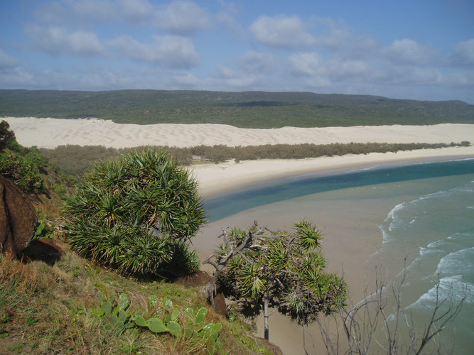 The Infamous Fraser Island