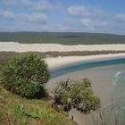 The Infamous Fraser Island