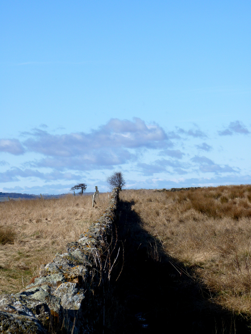 the infinite wall of lindisfarne