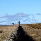 the infinite wall of lindisfarne