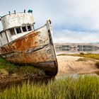 The inglorious Point Reyes