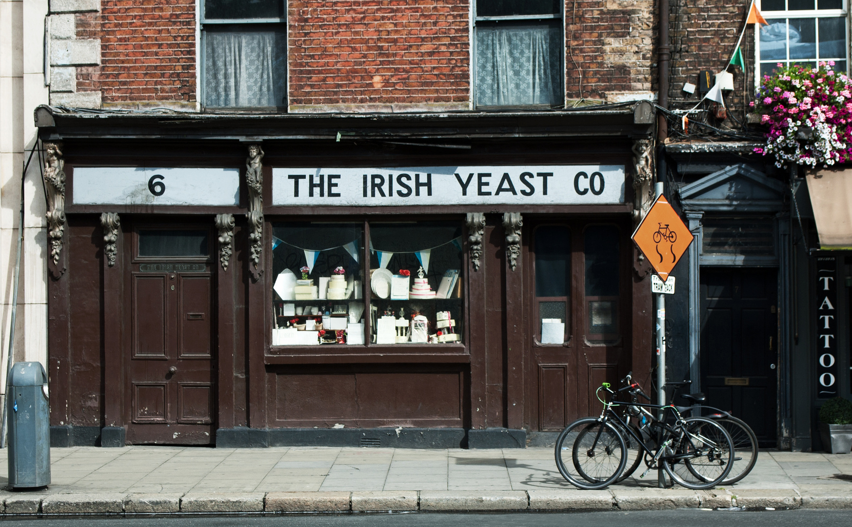 The Irish Yeast