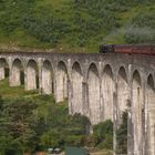 The Jacobite - Glenfinnan Viaduct - West-Highlands Schottland