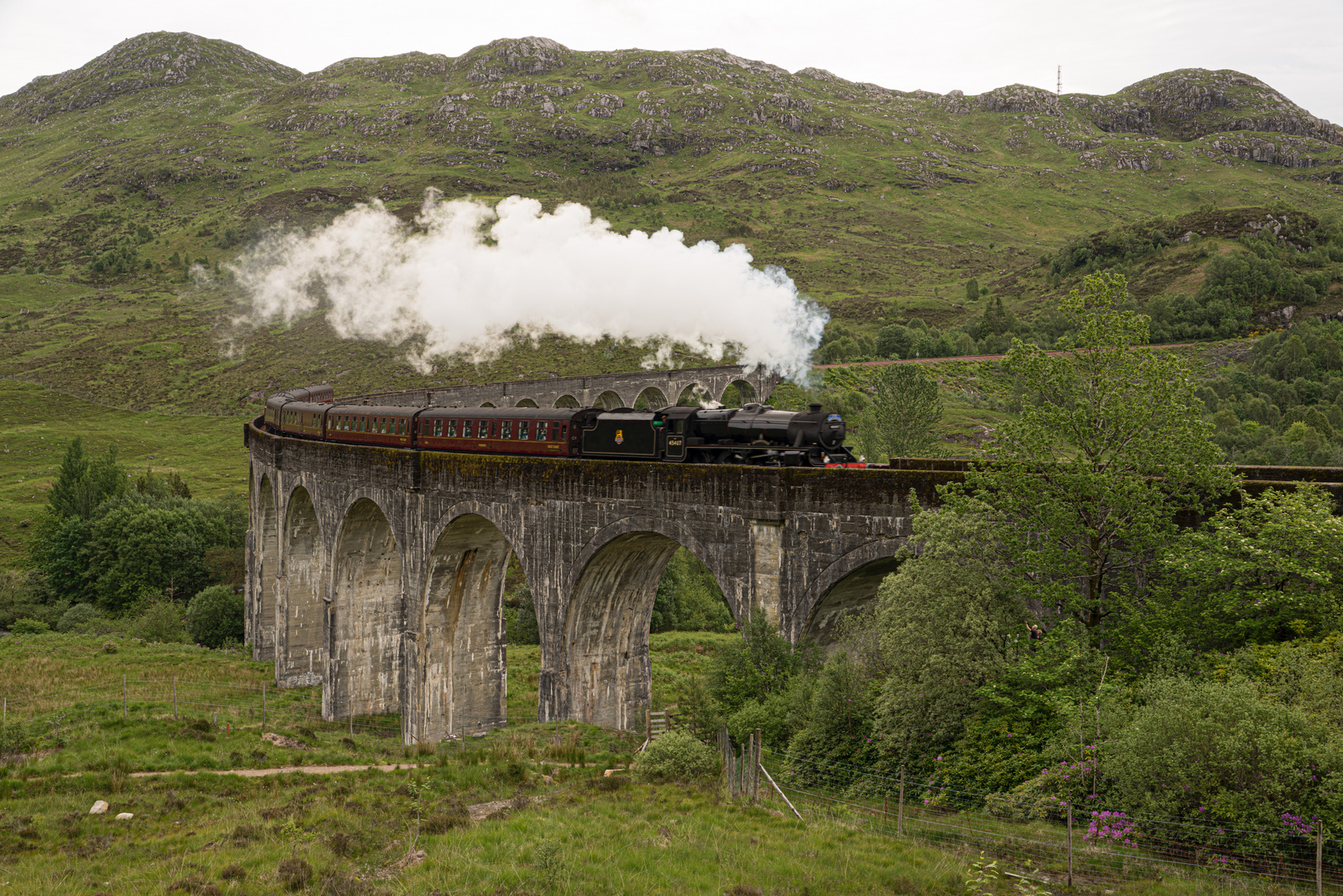 The Jacobite steam train