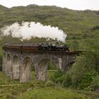 The Jacobite steam train