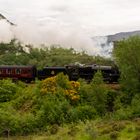 The Jacobite steam train