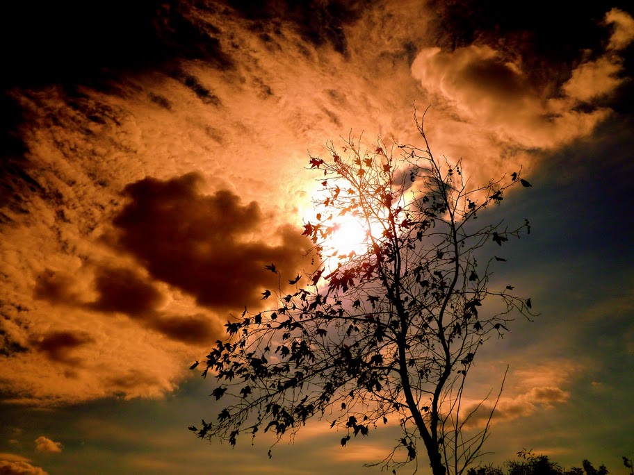 THE JANUARY SKY -NETANYA