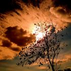 THE JANUARY SKY -NETANYA