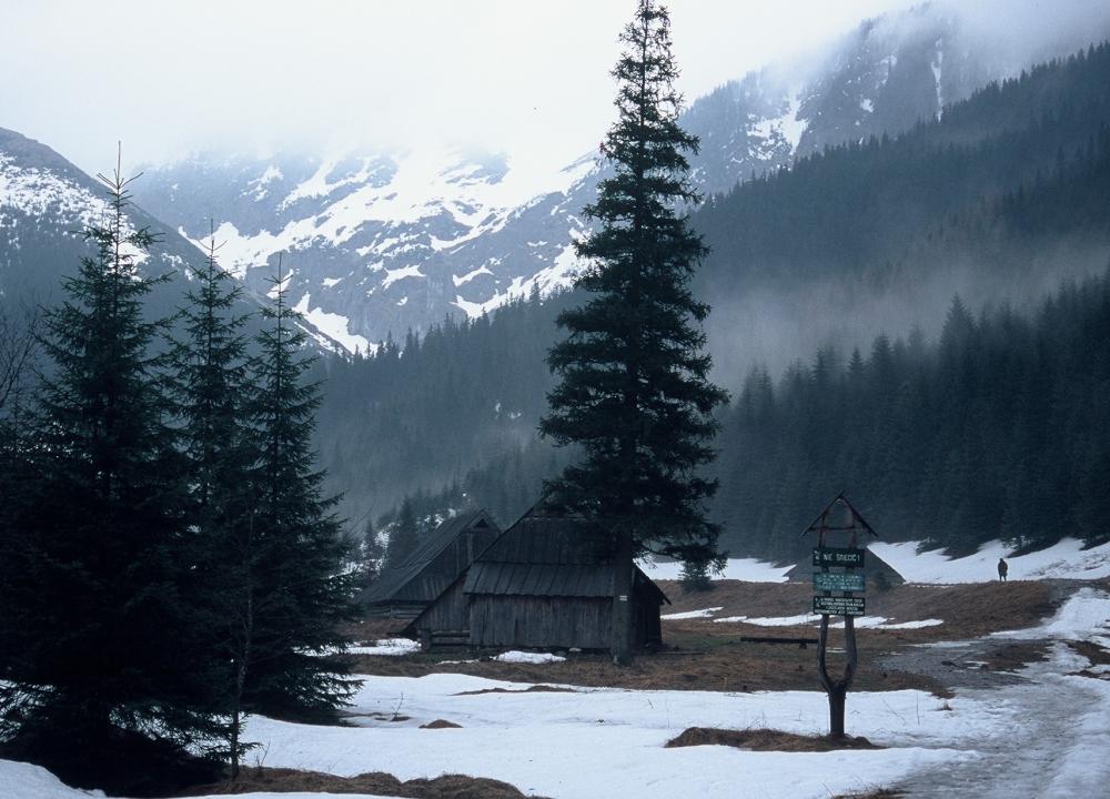 The Jaworzynka Valley