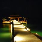 The Jetty @ night