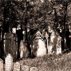 THE JEWISH CEMENTERY In Mikulov