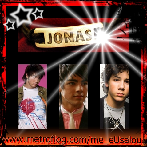 the jonas brothers š