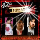 the jonas brothers š