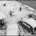 The joy of snowball fight