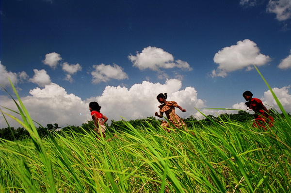 the joyfull childs in a paddy field.