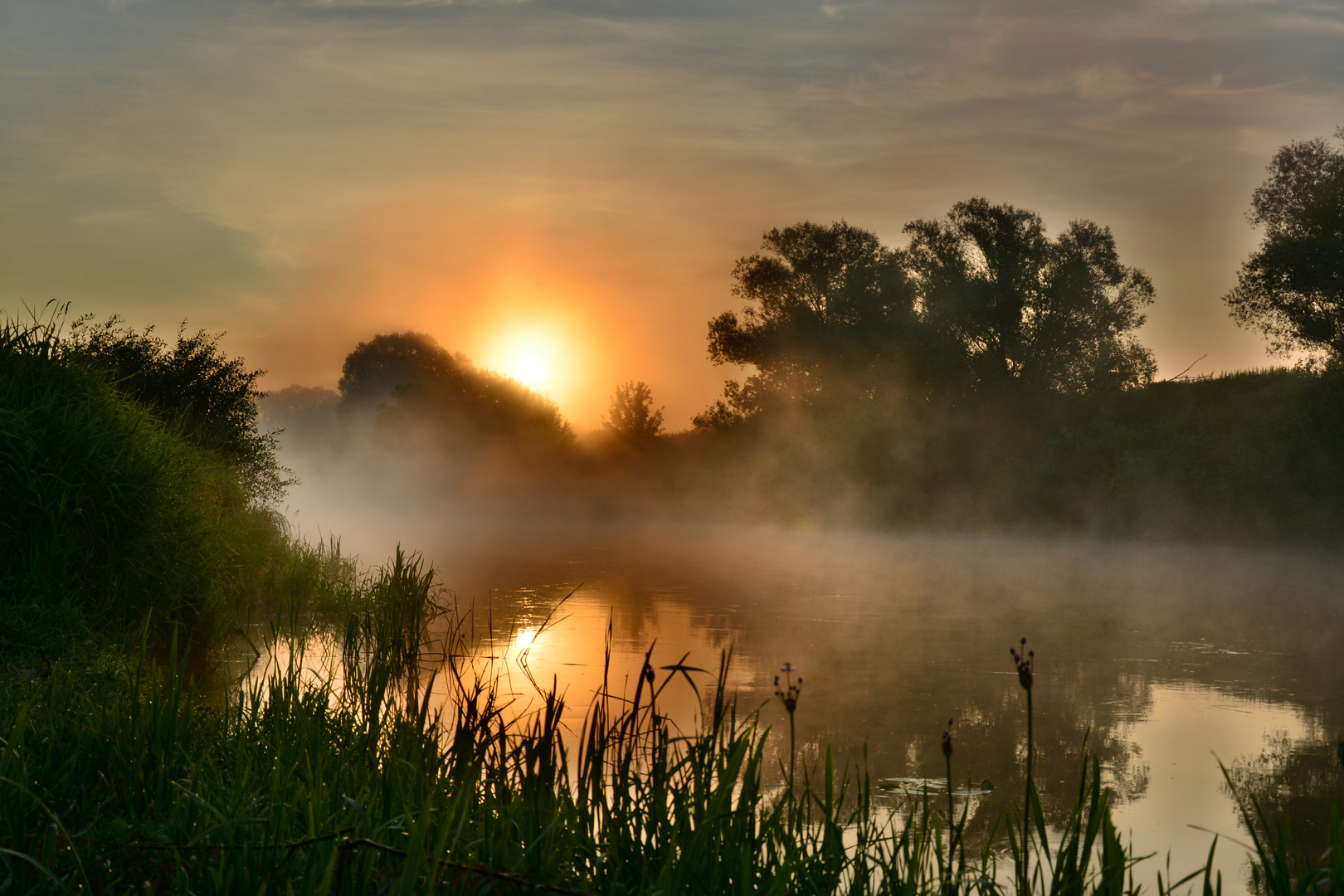 The July misty morning