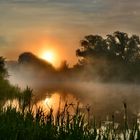 The July misty morning