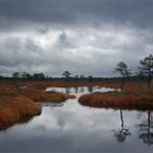 The Kakerdaja Bog