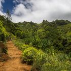 The Kalalau Trail II