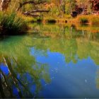 ** The Kalamina River and Gorge **