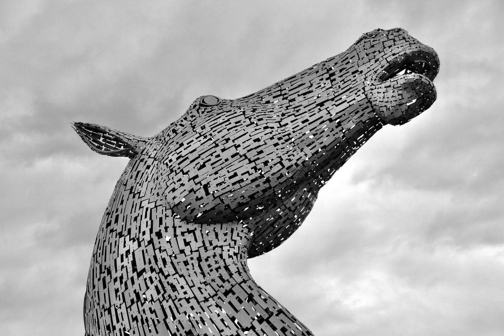 The Kelpies (4) BF