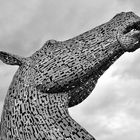 The Kelpies (4) BF