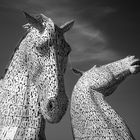 The Kelpies